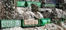 BN Freight Train