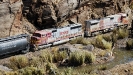 BNSF Freight Train