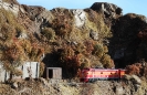Daylight Train