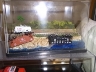 Earthquake mishap