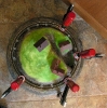 Waiting for Glue to Dry