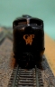 C&FW Black & Gold F-7