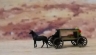 Horse-drawn Hearse