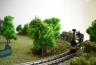 Saxonia Layout