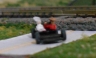 Watch Ol Bandit Run