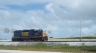 GP39