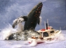 I Need A Bigger Boat !