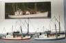 Sardine Boats