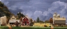The Farm