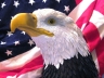Veteran's Day    11-11