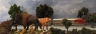 Where The Buffalo Roam