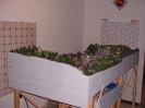 z-bahner´s Home plant
