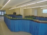Rock Forest Line Model train riding days 