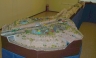 Rock Forest Line Model train riding days 