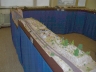 Rock Forest Line Model train riding days 