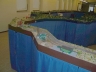 Rock Forest Line Model train riding days 