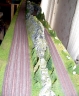 Rock Forest Line Modul plant