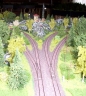 Rock Forest Line Modul plant