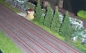 Rock Forest Line Modul plant