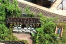The Old Coal Trestle