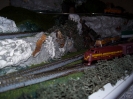 Trains on my layout