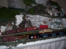 Trains on my layout