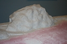 Let the plaster begin!