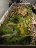 Overview