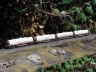More coil cars