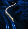 Messing Around with Night Shots