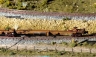 Alan Curtis 48ft Spline Cars