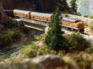 D&RGW in Donner