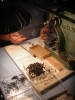 MTL Factory Tour