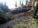 Spring has returned to Truckee
