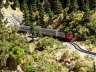 New stuff in Truckee