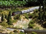 New stuff in Truckee