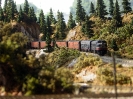 Reefers in Truckee