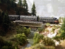 SP Black Widows in Donner