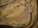 A River Runs Through It