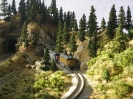 Tunnel & Rock Cut
