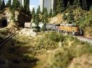 UP Grain Hoppers in Donner