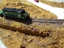 Desert Diorama