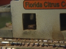 Florida Citrus Co.