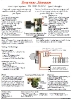 Joerger deluxe controller wiring instructions