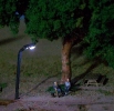 LOVE the new street lights