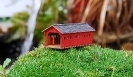 Covered Bridge vehicle/pedestrian