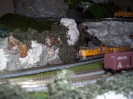 Trains on my layout