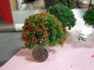 trees 1
