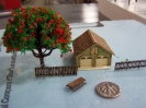 trees 1