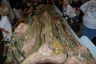 NTS 2011 Z